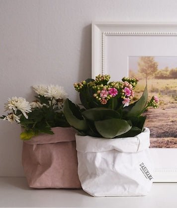 Mother's Day Gifts