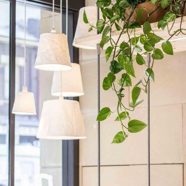 A restaurant window displays five washable paper pendant lights hanging from the ceiling. A plant dangles from a shelf at right.