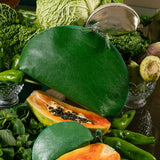 Green and platinum make up cases with assorted fresh produce including papaya, green vegetables, and a knife on a reflective surface.