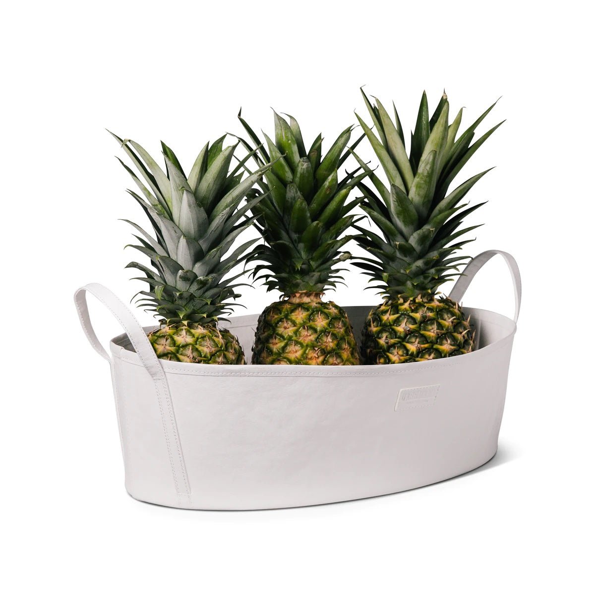 A white washable paper storage box is shown in an oblong shape, with two side handles. Three pineapples sit neatly inside. 