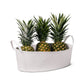 A white washable paper storage box is shown in an oblong shape, with two side handles. Three pineapples sit neatly inside. 