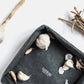 A black washable paper tray is shown from a top-down angle, containing cloves of garlic and a whole bulb.