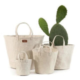 Four individual washable paper baskets are shown in varying sizes. The one at right contains a large cactus, and they are shown in a cream colour.