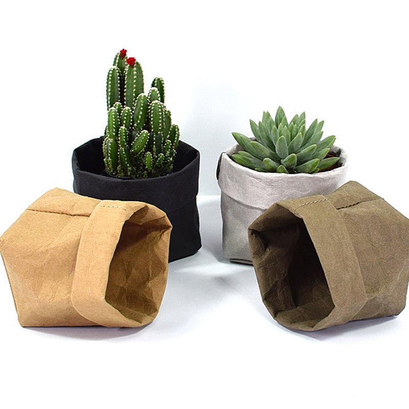 Four piccolo washable paper bags are shown. The two bags on the outside left and right are empty and lying down. One is tan and one is dark green. In the middle both washable paper bags are filled with succulent plants. The bag on the left is black and the bag on the right is pale grey.