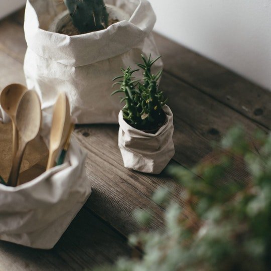 Three washable paper bags are shown from above. The extra small paper bag is holding a small succulent plant. The small washable paper bag is holding wooden spoons and the medium paper bag contains a plant. All paper bags are light cream in colour.