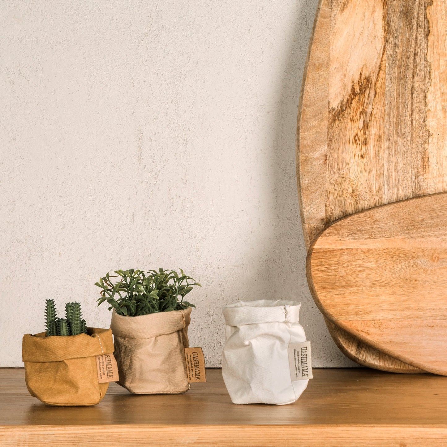 Three extra small washable paper bags are on a wooden surface. The two bags on the left are tan in colour and contain small succulent plants. The bag on the right is white and empty. Two wooden chopping boards are leaning up against the wall.